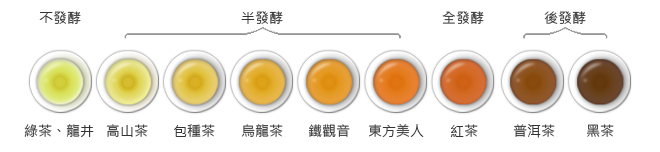 茶湯色澤